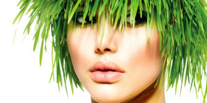 Vegetable Hair Dye, Safe Best Brands for Eyebrows ...